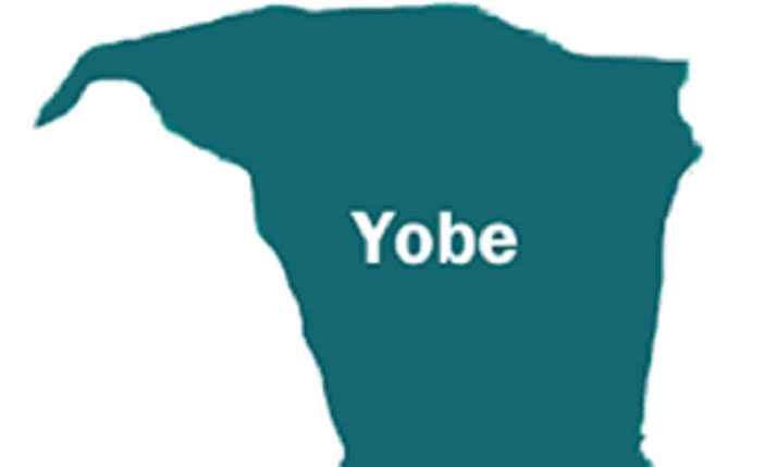 An In-Depth Look at the Salary Structure in Yobe State