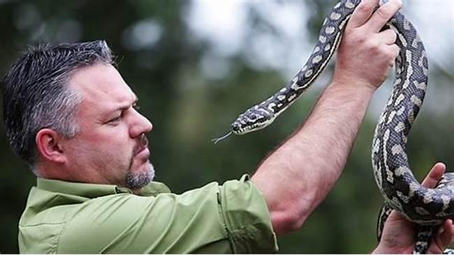 Can Snakes Be Domesticated? Understanding the Nature of Snakes as Pets