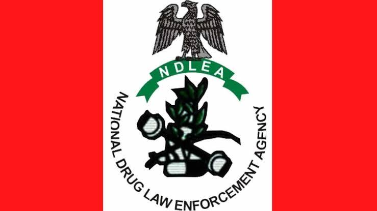 Drug Enforcement Agencies in Nigeria: Strategies and Operations