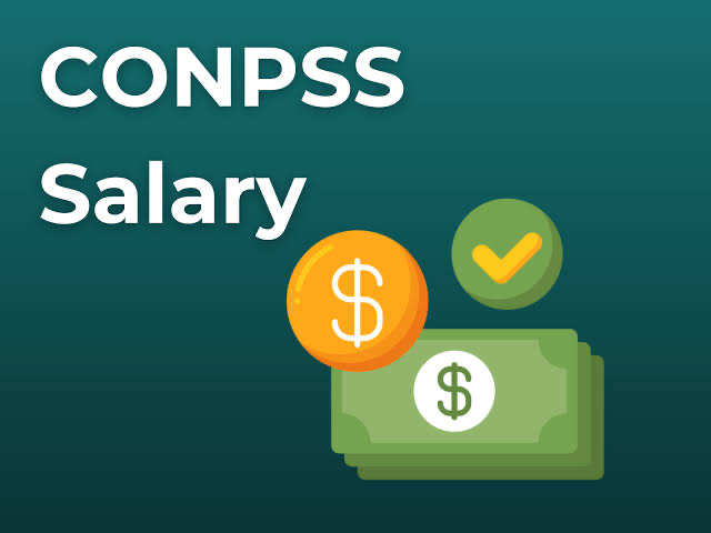 Salary for Level 8 in Nigeria: How Much Are They Paid?