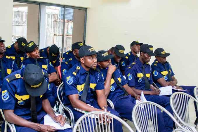 How Much is Halogen Security Company Limited Salary Structure and Ranks: Allowance the Entitlements